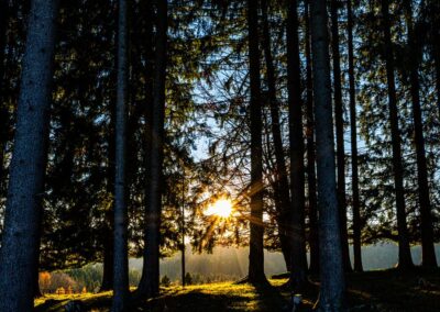 Sonnenaufgang in St Englmar