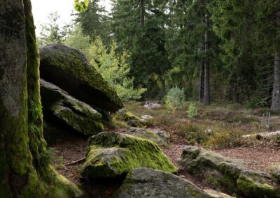 Wandermöglichkeit im Bayerischen Wald